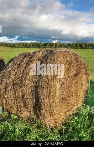 A haystack on a bright green field of mowed grass against a stormy sky. Russia