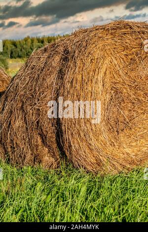 A large pile of hay on bright green grass against a stormy sky.