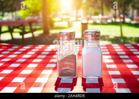 Salt and pepper shakers on picnic tablecloth with sunny background. Stock Photo