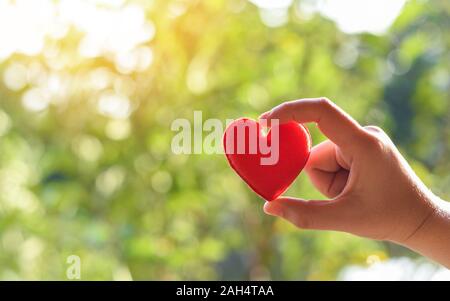 Heart in hand for philanthropy concept / woman holding red heart in hands for valentines day or donate help give love take care Stock Photo
