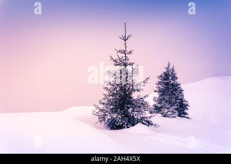 Romantic winter scene with snow and two fir trees in pastel pink and purple tones. Minimalist winter landscape on a snowy day. Copy-space for text. Ch Stock Photo