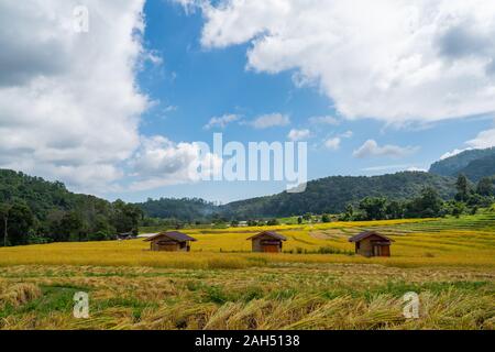 After harvested rice terraces in sunny day with three wooden cottages in rural in Chiangmai, Thailand Stock Photo