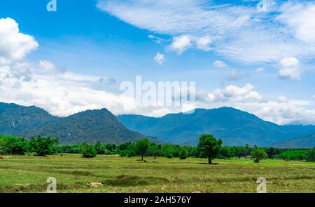 Rice field land in summer. Landscape of green field, mountain with blue sky and white clouds. Nature landscape in Thailand. Summer rice fields after Stock Photo