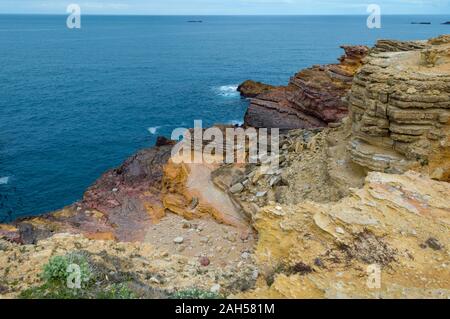 Spring flowers on Atlantic coast, Alentejo and Algarve, Portugal Stock Photo