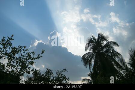 Dramatic blue sky in sunset time with floating fluffy clouds. Sunlight reflection from back making coconut palm tree silhouette. Beauty in Nature. Hig Stock Photo