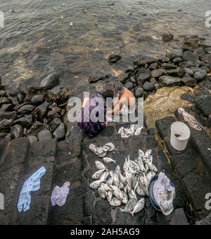 A young couple catches and cleans the fish caught by the sea on the rocks of Playa Blanca, Lanzarote, Spain Stock Photo