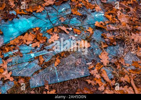 broken glass among the leaves in the forest Stock Photo