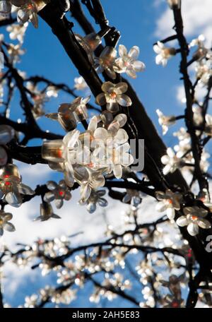 Tree decorated with lights that are in the shape of flowers Stock Photo