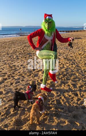 Boscombe, Bournemouth, Dorset, UK. Christmas Day 25th December 2019. Brave volunteers plunge into the sea for a swim or dip on a lovely sunny day, for the annual charity White Christmas Dip, the largest Christmas Dip in the UK, dressed in fancy dress costumes and raising money for Macmillan Caring Locally at Christchurch, a Specialist Palliative Care Unit for patients in the local community. Over a thousand take part in the event which has become a popular tradition for many before their Christmas lunch. Grinch on the beach with dogs wearing Christmas coats, Credit: Carolyn Jenkins/Alamy Live Stock Photo