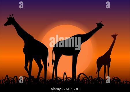 Giraffes. Back silhouettes in sunset Stock Vector