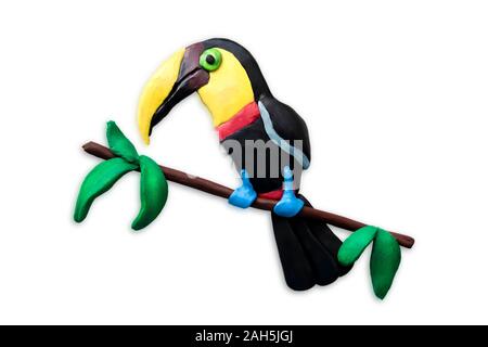 Plasticine toucan closeup isolated on white background. Tropical plasticine bird molded with his own hands. Stock Photo