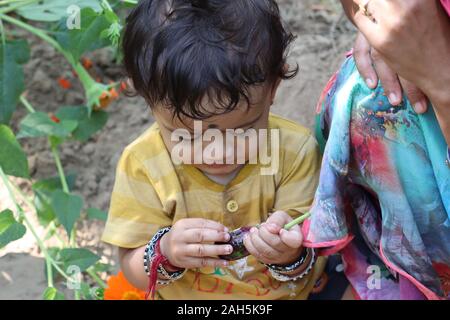 autumn child.Cute child with sunflower in summer field.Happy little child baby boy laughing and playing in the autumn,choudhary Stock Photo