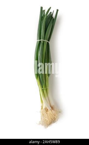 bunch of fresh young garlic on white background. isolated from the background Stock Photo