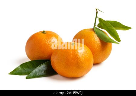 three fresh seasonal tangerines on white background, isolated from the background Stock Photo