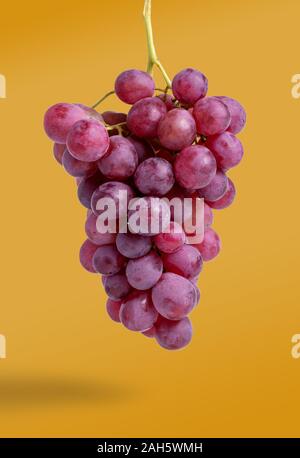 Bunch of red grapes isolated on orange background Stock Photo