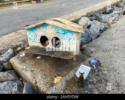 street house for homeless cats in Istanbul, Turkey. cat cabin stands on street for homeless cats. Concept of caring for street animals. Wooden Cat Stock Photo