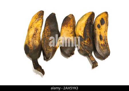 Boiled banana (pisang rebus) isolated on white background. Stock Photo