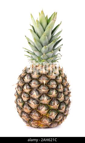 Pineapple isolated. One whole pineapple with green leaves isolated on white background with clipping path Stock Photo