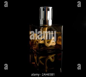 air freshener pot with a liquid and a wick to light in order to spread a leaky odor in the room Stock Photo