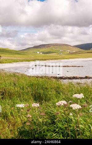 The beach & bay at Sand at the head of Sand Voe in West Mainland, Shetland. Stock Photo