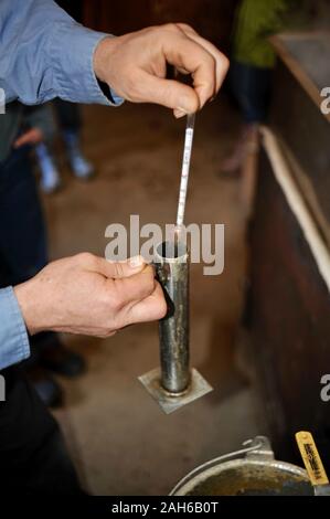 Testing the maple syrup with a hydrometer, pulled from the heated evaporator, then bottling in a small sugar shack, Wisconsin. Stock Photo