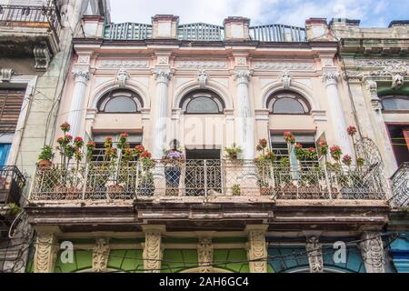 People of Havana Series - A woman standing on the balcony of her apartment, proudly showing off her plants. Stock Photo