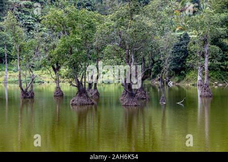 Beautiful landscape at Twin Lake at Dumaguete, Philippines Stock Photo