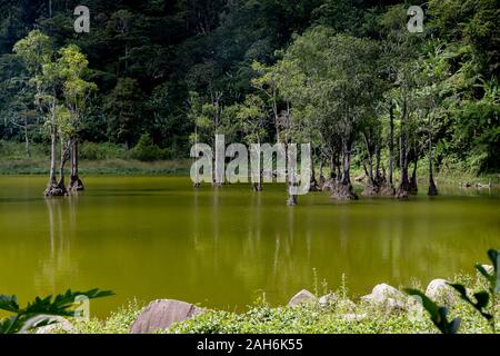 Beautiful landscape at Twin Lake at Dumaguete, Philippines Stock Photo