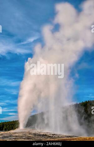 A vertical image of Old Faithful erupting, shooting a column of boiling water and steam high into the air in the Upper Geyser Basin at Yellowstone NP. Stock Photo