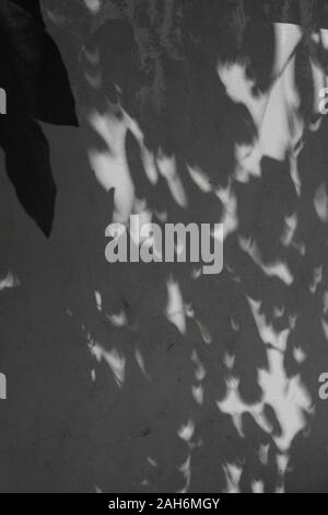 Crescent-shaped shadows of foliage during annular solar eclipse in Phnom Penh, Cambodia on December 26, 2019. Stock Photo