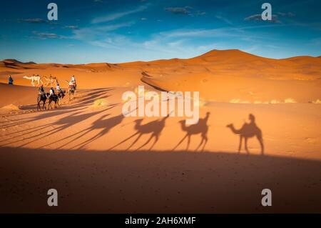 Berbers with Dromadaires in Merzouga Sahara desert on Morocco Stock ...