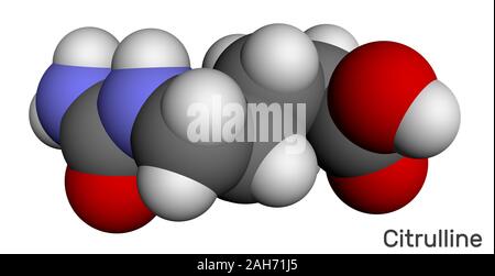 Citrulline C6H13N3O3, alpha amino acid molecule. Molecular model. 3D rendering illustration Stock Photo