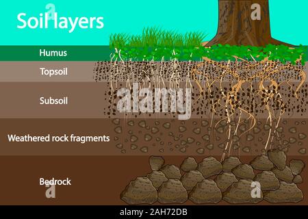 Soil layer scheme or diagram with grass and roots, earth texture and stones. Cross section of humus or organic and underground soil layers beneath. Stock Vector