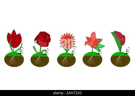 Set flower icon isolated on white background. Tulip, rose, echinacea, azalea, calla lilies in simple flat style logo. Stock vector illustration Stock Vector