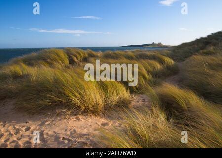 Sand dunes and Marram grass habitats, with distant coastal fortifications/ruins. Stock Photo