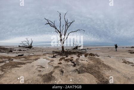 Botany Bay beach panorama at cloudy day, Edisto Island, South Carolina, USA Stock Photo