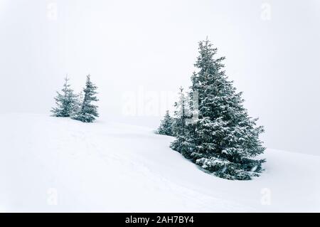 Simple winter scene with snow and snow-covered fir trees in white tones. Minimalist winter landscape on a snowy day. Copy-space for text. Christmas ho