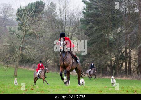 Hagley, Worcestershire, UK. 26th December 2019. The Albrighton and Woodland Hunt meets at Hagley Hall on Boxing Day for its traditional annual meet. Peter Lopeman/Alamy Live News