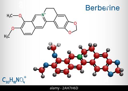 Berberine C20H18NO4, herbal alkaloid molecule. Structural chemical formula and molecule model. Vector illustration Stock Vector