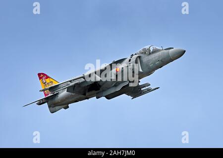 Spanish Navy EAV-8B Harrier II Plus Stock Photo