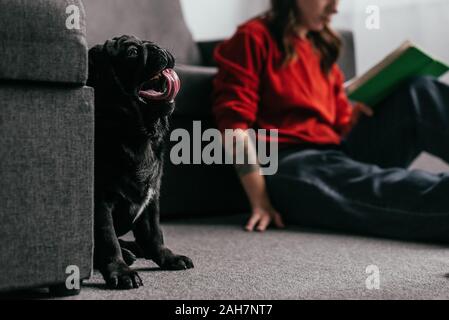 Selective focus of funny pug sitting by girl with book on floor in living room Stock Photo