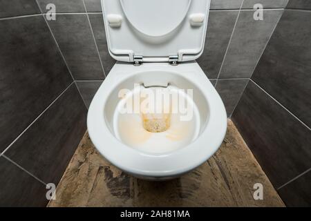 yellow liquid detergent in ceramic clean toilet bowl in modern restroom with grey tile Stock Photo