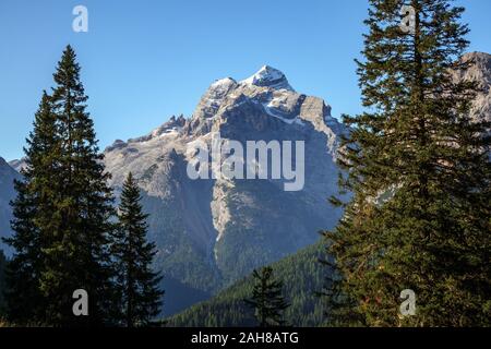 View on the Tofane mountain peaks. Coniferous trees. The Ampezzo Dolomites. Dolomiti Bellunesi. Italian Alps. Stock Photo