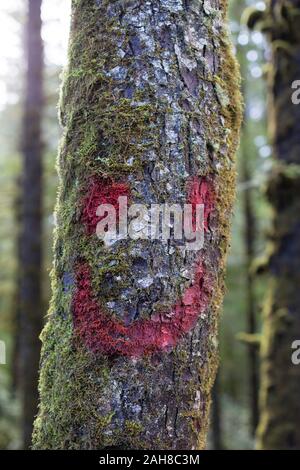 A tree trunk spray painted with a smiley face. Stock Photo