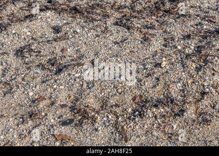 Wet shoreline sand and pebbles left behind as the tide recedes. Stock Photo