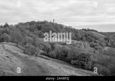 Landscape photo of the Admiral Hood Monument near Butleigh in Somerset. Stock Photo