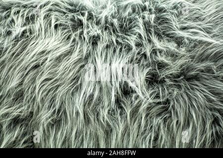 Gray fur background. Pile and texture of fur. Stock Photo