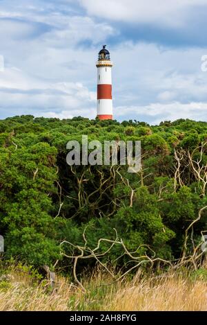 Symmetrical close up of a red and white Scottish lighthouse, with a thick green hedge in the foreground, under a blue summer sky with clouds Symmetrical close up of a red and white Scottish lighthouse, with a thick green hedge in the foreground, under a blue summer sky with clouds