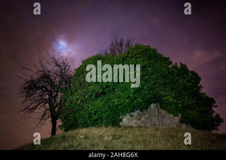 Wide angle view of a dead tree and an ivy-covered church on top of a hill, under a full moon in a purple sky Stock Photo