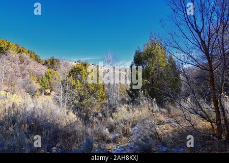 Hiking Trails in Oquirrh, Wasatch, Rocky Mountains in Utah Late Fall with leaves. Backpacking, biking, horseback through trees in the Yellow Fork and Stock Photo